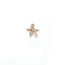 Mini StarFish Charm